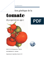 Amélioration de La Tomate