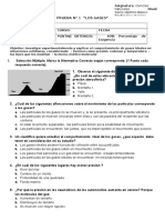 PRUEBA Ciencias GASES 7º Basico