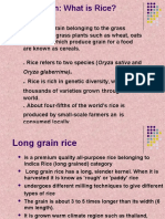 Presentation On RICE