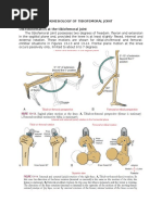 Kinesiology of Knee Joint