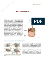 12° Aparato Digestivo PDF