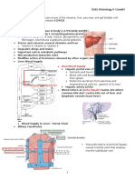 0320 Histology II Consitt: o Dual Blood Supply