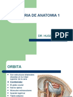 Anatomia de La Orbita