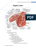 Región Axilar