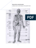 DIBUJO ARTÍSTICO. Ejercicios Dibujo Del Esqueleto Humano.