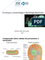 Introdução À Bacteriologia e Morfologia Bacteriana