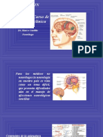 Neurología - Exémen Neurológico