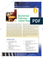 Biochemical Pathways PDF