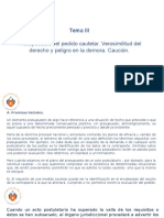 DERECHO PROCESAL CIVIL III - Tema III