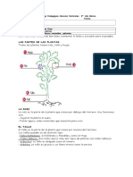 Guia Ciencias Las Plantas