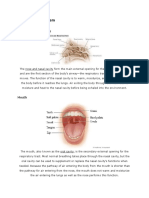 Respiratory System: Nose and Nasal Cavity