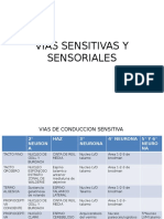 Vias Sensitivas y Sensoriales