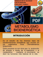 Bioenergética