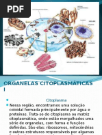 Organelas Citoplasmáticas I