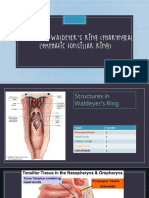 Anatomy of Waldeyer'S Ring (Pharyngeal Lymphatic Tonsillar Ring)