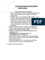 CH 9 Cellular Respiration and Fermentation Notes