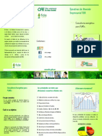 Folleto Diagnosticadores-2 (Triptico)