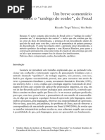 Um Breve Comentário Sobre o Umbigo Do Sonho, de Freud