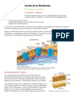 Resumen Campbell "Estructura y Funcion de La MP"