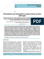 Antioxidants and Chlorophyll in Cassava Leaves at Three Plant Ages