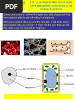 5 Specialised Cells