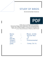 Study of Birds: Environmental Science