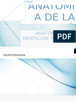 Anatomia Dental Monografia Nerida