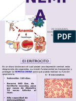 Anemia Expo