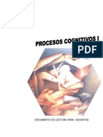 Procesos Cognitivos