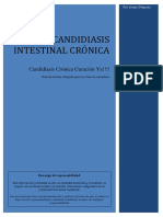 Candidiasis Intestinal Cronica Como Combatirla