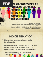 Presentacion Comunidad Transgenero