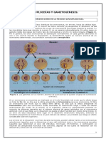 Guia Contenidos Aneuploidías y Gametogenesis