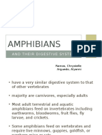 Digestive Amphibians