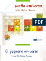 El Pequeño Universo