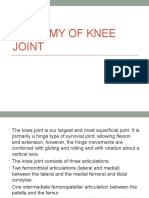 Anatomy of Knee Joint