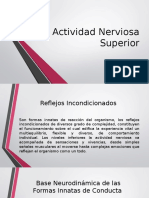 Actividad Nerviosa Superior