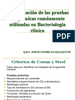 Interpretación de Las Pruebas Bioquímicas