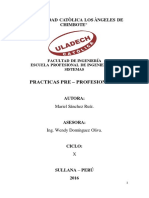 Informe Practicas Pre Profesionales