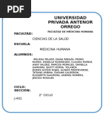 Genetica Informe 1