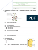 Ficha 5 PDF