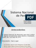 Sistema Nacional de Pensiones (19990) RICHE