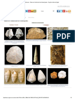 Fósiles - Moluscos - Álbum de Clasificación de Gasterópodos - Región de Murcia Digital PDF