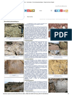 Fósiles - Yacimientos - Diversidad Paleontológica - Región de Murcia Digital PDF