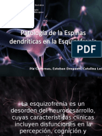 Patología de La Densidad de Las Espinas Dendríticas en La Esquizofrenia