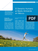 El Derecho Humano Al Medio Ambiente en Mexico PDF