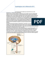 Fisiopatologia de La Inflamación