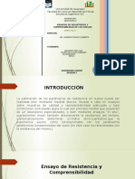 Geotecnia II 2,4 Ensayos de Compresinilidad - Grupo 10