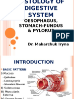 Oesophagus, Stomach-Fundus & Pylorus: Dr. Makarchuk Iryna