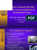 Derecho Penal y Sociedad Del Riesgo