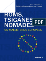 Roms Nomades Tsiganes